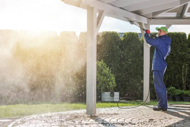 Best Soft Washing  in Montague, CA